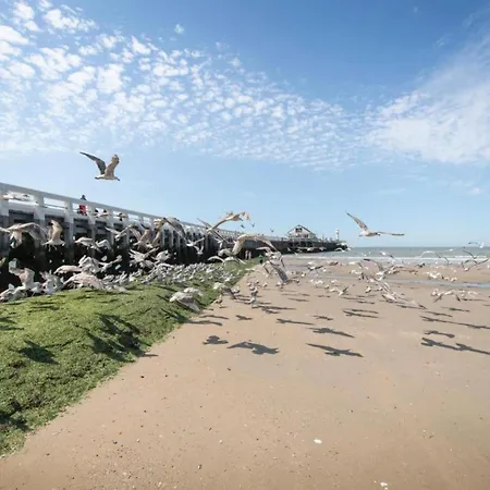 Carlton Mondial In Blankenberge